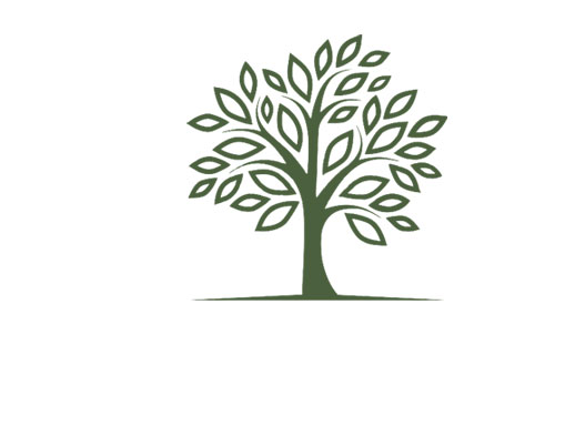 albero